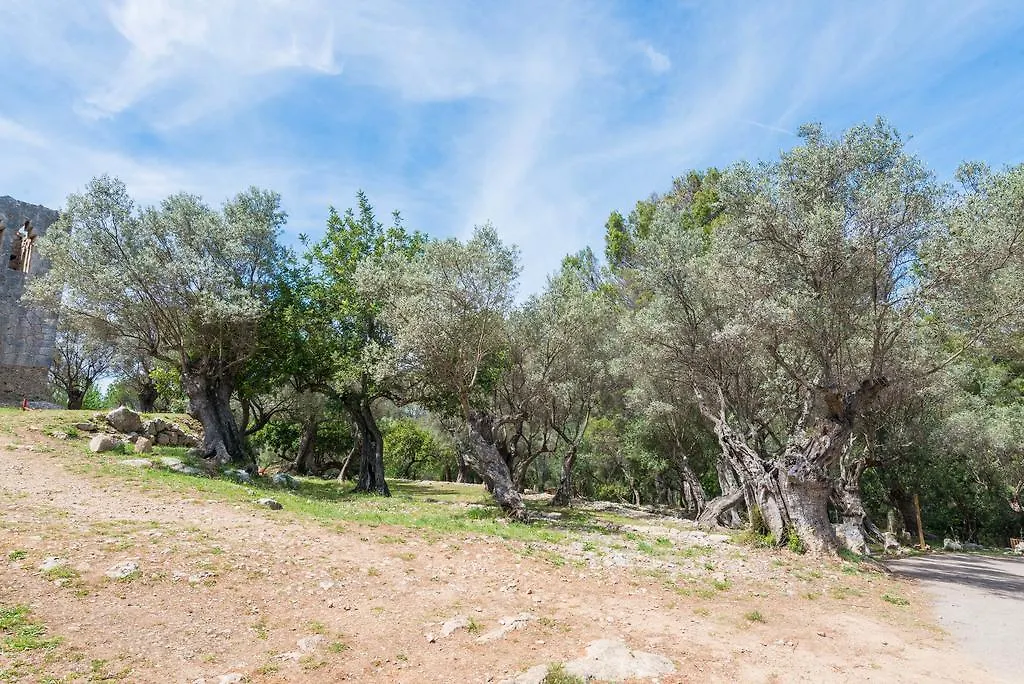 Sa Garriga De Can Barratot Selva  0*, Selva (Mallorca) Hiszpania